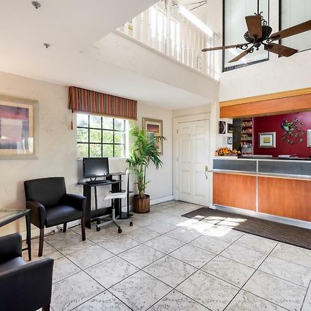 Econo Lodge Palm Harbor - Clearwater Esterno foto
